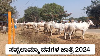 ಸಪಲಮ್ಮ ದನಗಳ ಜಾತ್ರೆ 2024 (sappalamma danagala jathre2024)