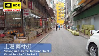 【HK 4K】上環 藥材街 | Sheung Wan Herbal Medicine Street | DJI Pocket 2 | 2021.06.07