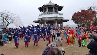 「総踊り」弘法山マルシェ　弘法山公園　 2021/11/21（日）