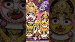 কি কাঠ দিয়ে জগন্নাথ দেবের মুর্তি বানানো হয় #jagannath #sorts #mangaladevi