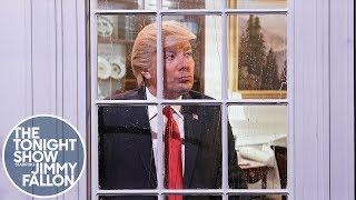 Window Thoughts with President Trump