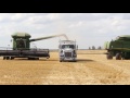 alberta wheat farming alberta