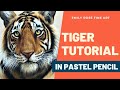 Draw a Tiger with Pastel Pencils - Realistically!