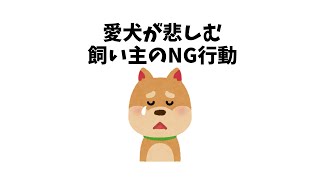 愛犬が悲しむ飼い主のNG行動