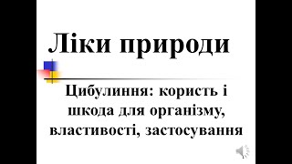 #1 Цибулиння: користь і шкода для організму, властивості, застосування