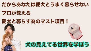 愛犬と会話してみたくないですか？-犬の見えてる世界を知ろう-