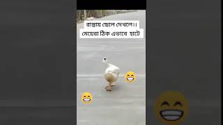 রাস্তায় ছেলে দখলে।।। মেয়েরা ঠিক এভাবে হাটে🤪🤪🤪