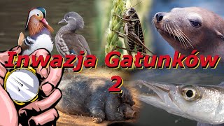 Inwazja Gatunków 2