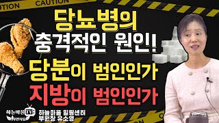 당뇨병의 충격적인 원인!! 당분이 원인인가, 지방이 원인인가 [#당뇨병 식이요법  #당뇨병식단 #지방 #유지방 #저탄고지]