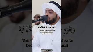 Recitation Qur'an Surat Hud 64-65 #alquran
