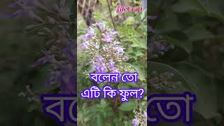 বলুনতো এটি কি ফুল? বিস্তারিত সন্ধ্যায়। #plants #botany #ভেষজ #ইউনানী #আয়ুর্বেদ #lifecraftiqbal