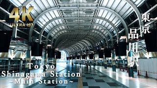 【深夜散歩】東京 品川駅 Tokyo Shinagawa Station Midnight Stroll