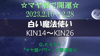 マヤ暦で開運！《白い魔法使い》の１３日間　Kin14~Kin26