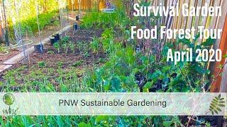 Survival Garden Food Forest Tour | April 2020 | Victory Garden