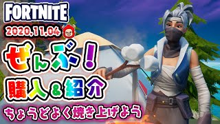 本日のアイテムショップ クノなどの使用感紹介！！2020.11.4【Fortnite・フォートナイト】