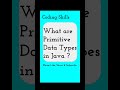 What are Primitive Data Types in Java | Coding Skills