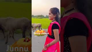 ఎంగిలిపూల బతుకమ్మ శుభాకాంక్షలు🙋‍♀️/ Junnu short videos/Minnu short videos/Bathukamma videos/songs