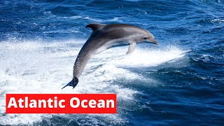 History of Atlantic Ocean | Mysterious Facts about Atlantic Ocean