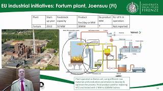 Advanced Biofuels, Pyrolysis & Hydrothermal Processing - Prof. David Chiaramonti