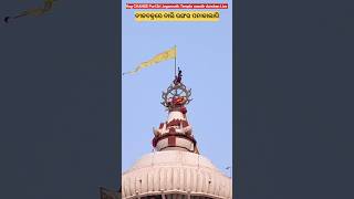 ନୀଳଚକ୍ରରେ ନାଲି ରଙ୍ଗର ପତାକାଲାଗି ଦର୍ଶନ   Puri Sri Jagannath Temple flag CHANGE #god #travel #live 🙏🌟✨