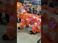 Lion Dance at Foodie, Auckland NZ #largest #asianfood #auckland #newstore