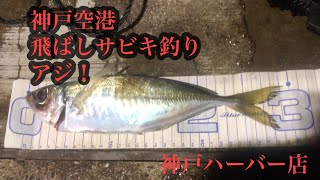 神戸空港飛ばしサビキ釣りデカアジにアジ！fishingmax神戸ハーバー店