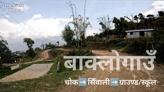 A Beautiful Village | Baaklo Gau | Views From The Road | Chowk to Sinwali to Chowk | Taplejung