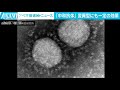 感染者の中和抗体　変異ウイルスにも一定効果 2021年7月6日