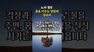 노자 명언 꿈을 키우는 방법에 관하여 #노자 #명언 #명언모음 #인생명언  #KoreanQuotes