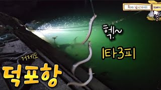 꽝세번치고 보물같은 포인트 발견/캠낚/해수욕장/액티비티/해루질/벵에돔