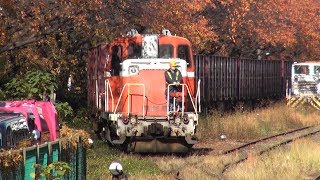 紅葉の北王子駅