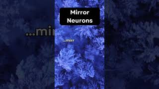 How Mirror Neurons Trigger Empathy | Quick Psychology Fact