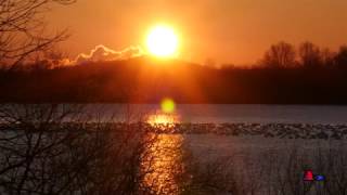 Snow Geese at Middle Creek, Pennsylvania