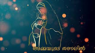 അമ്മയുടെ തണലിൽ* _ ആറാം ദിവസം_ |സ്വർഗ്ഗാരോപണ തിരുനാൾ | Little Flower Church, Elamkulam.