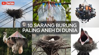 10 Sarang Burung Paling Aneh Di Dunia