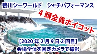 4頭全員ボイコット【2020年2月9日2回目】鴨川シーワールド　シャチパフォーマンス　会場全体を固定カメラで撮影