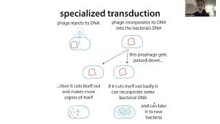 Horizontal (aka lateral) gene transfer - bacterial conjugation, transformation, \u0026 transduction