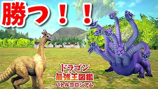 【ドラゴン最強王図鑑】強いムシュフシュでドラゴン最強王決定戦