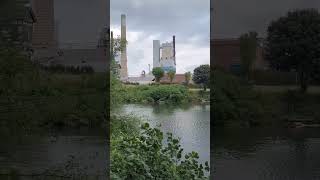 Sappi Paper Mill Westbrook 🦞Maine world leader in casting and release papers!! incorporated 1854