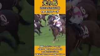 【光り馬 THE HERO】2023 モリアーナ #競馬 #武藤 #ニュージーランドトロフィー