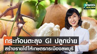 กระท้อนตะลุง GI ปลูกง่าย สร้างรายได้ให้เกษตรกรเมืองลพบุรี | เกษตรนิวเจน | 11/06/65 (FULL)