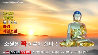 【소원성취기도 / Korean Buddhism Temple 】금전운 과 소원을 들어주는 불경 (마음 편안한 곳 / GwangDeokTemple) 福Tube복튜브  一切唯心造