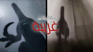 سافرت عبر زمن و شفت مخلوقات مرعبة!! 😱💀🔥| Tempus Triad