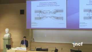 Stephen Larson - Applying hierarchical modeling principles to MS Research (2013)
