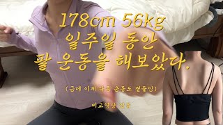 일주일 동안 땅끄부부 팔뚝운동 했습니다. 근데 이제 다른 운동도 곁들인..