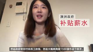 [学翼全球华人访谈]：新冠疫情下澳大利亚工作的华人怎样了？政府竟然给了薪水补贴？！