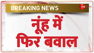 Nuh Firing News: नूंह में फिर बवाल | Breaking News | Haryana Election 2024 Update | Candidate Clash