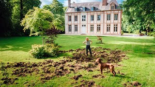 We're Shocked: Garden Ruined Just Before Our BIG Chateau Event!
