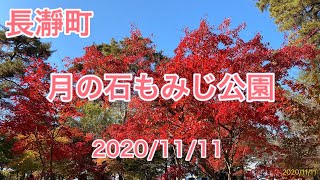 長瀞町の紅葉 月の石もみじ公園 2020/11/11