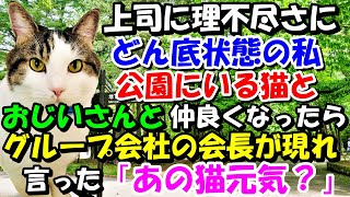 上司に理不尽な仕事を押し付けられどん底状態。公園にいる猫とおじいさんと仲良くなったら、ある日グループの会長が現れて言った「あの猫は元気？」【猫の不思議な話】【朗読】